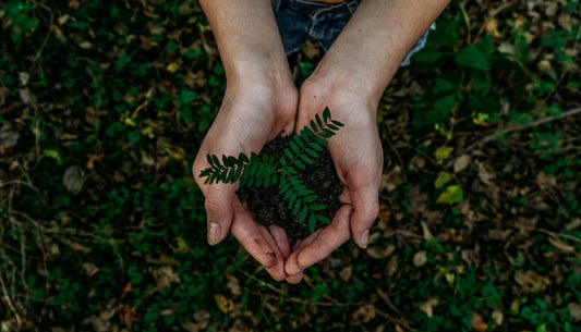 🌍 Earth Day 2025: Our Power, Our Planet