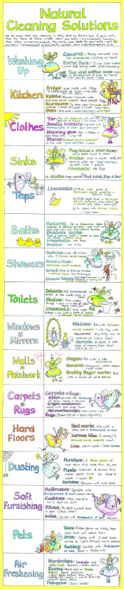 Liz Cook Natural Living Chart - Natural Cleaning Solutions