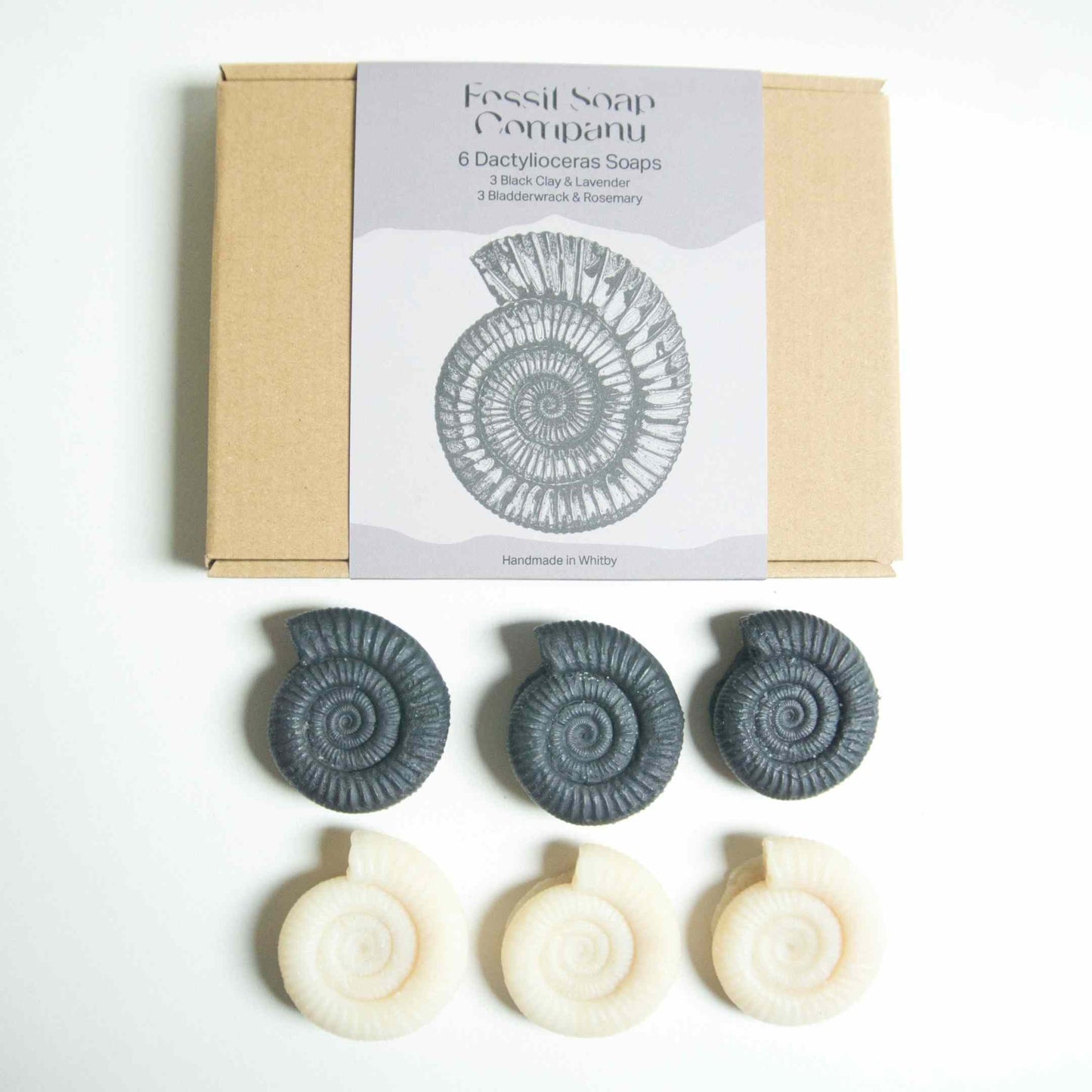 6 Dactylioceras Soaps - Fossil Soap Company