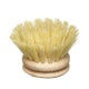 ecoLiving Wooden Dish Brush - Replacement Head