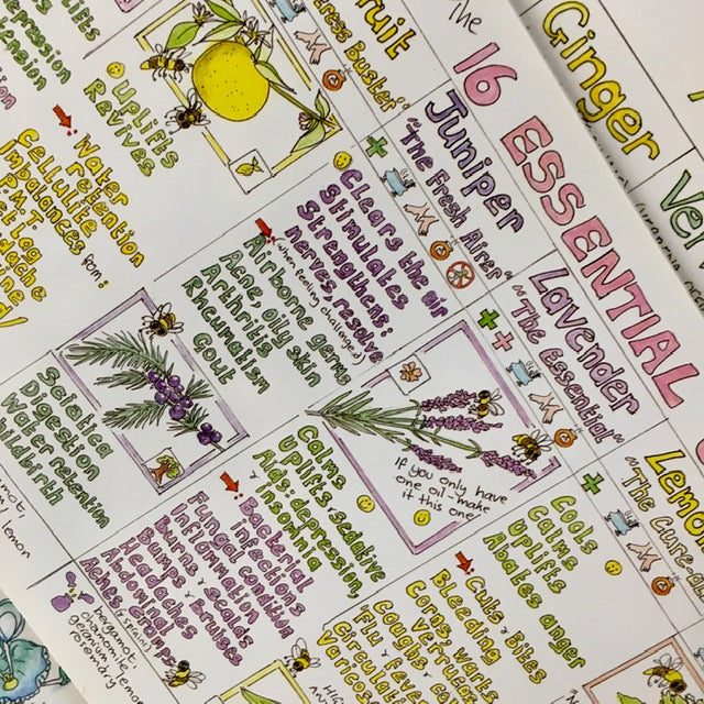 Liz Cook Natural Living Chart - 16 Essential Oils For Home Use