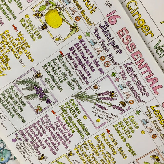 Liz Cook Natural Living Chart - 16 Essential Oils For Home Use