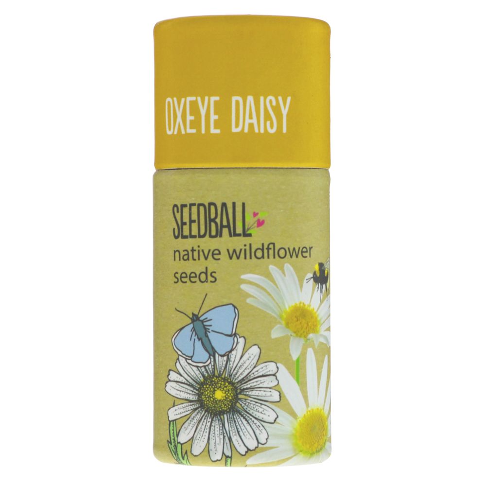 Wildflower seed balls by Seedball