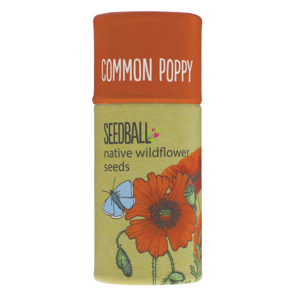 Wildflower seed balls by Seedball