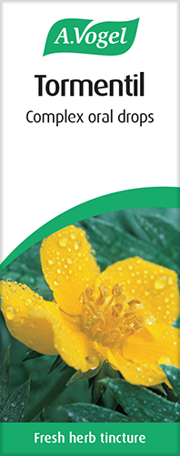 Vogel TORMENTIL complex Oral Drops