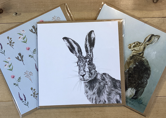 Re-wrapped Card - Black & White Hare