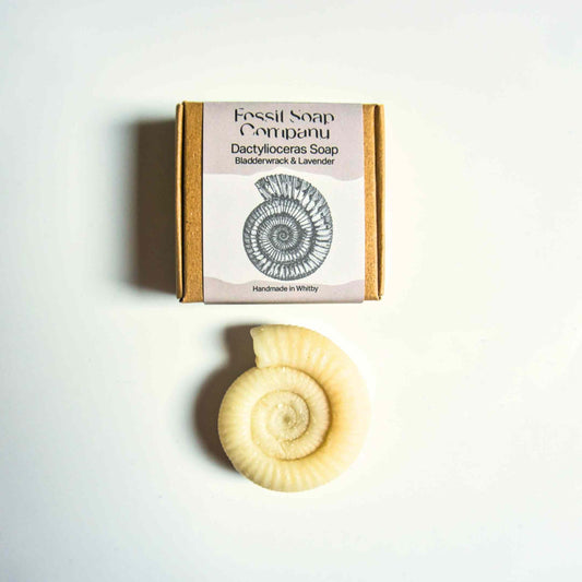 Dactylioceras Soap - Bladderwrack & Lavender - Fossil Soap Company 20g