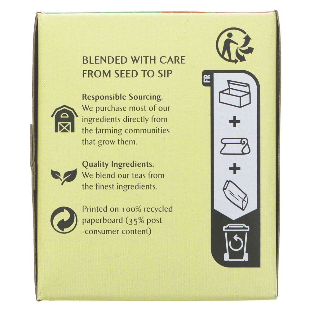 Celestial Cinnamon Apple Spice Tea - 20 bags