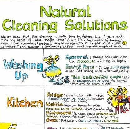 Liz Cook Natural Living Chart - Natural Cleaning Solutions