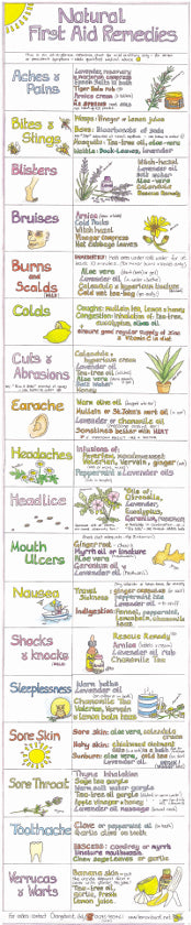 Liz Cook Natural Living Chart - Natural First Aid Remedies