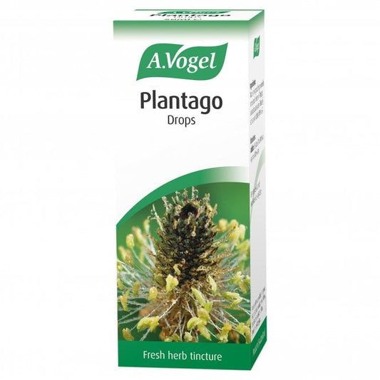 A. Vogel  Plantago Drops 50ml