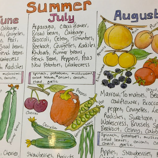 Liz Cook Natural Living Chart -Seasonal Fruit & Vegetables