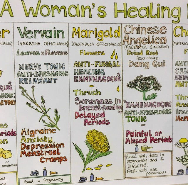 Liz Cook Natural Living Chart - A Woman's Healing Herbs