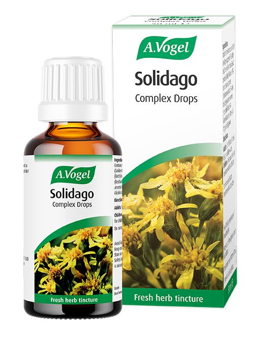 A. Vogel Solidago Drops 50ml